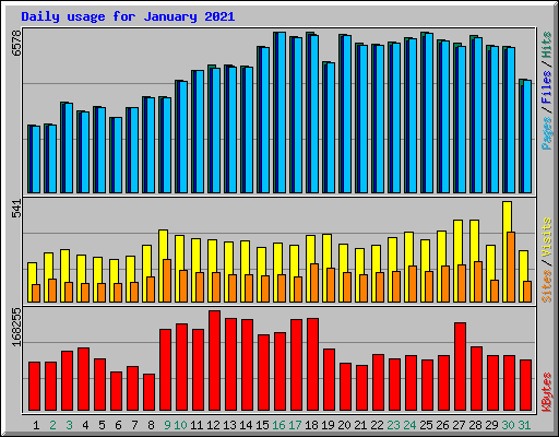 Daily usage for January 2021