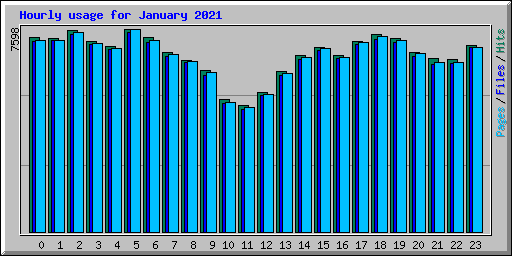 Hourly usage for January 2021