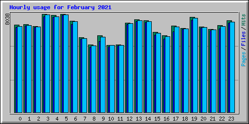 Hourly usage for February 2021