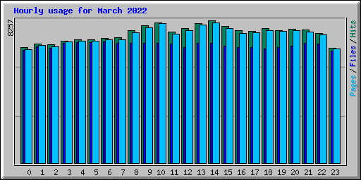 Hourly usage for March 2022