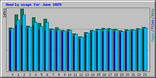 Hourly usage for June 2025