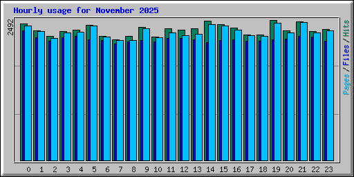 Hourly usage for November 2025