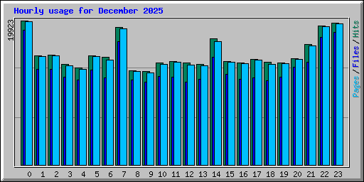 Hourly usage for December 2025